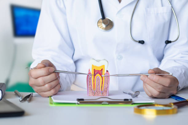 Best Chipped Tooth Repair Near Me  in Mundys Corner, PA